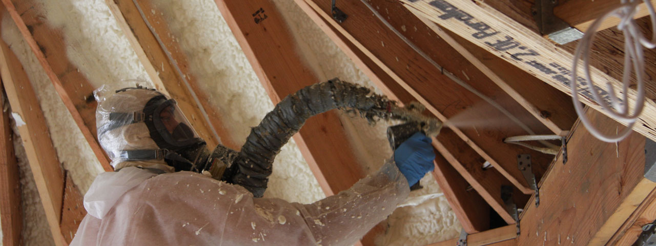 Edmonton Alberta Attic Insulation Spray Foam